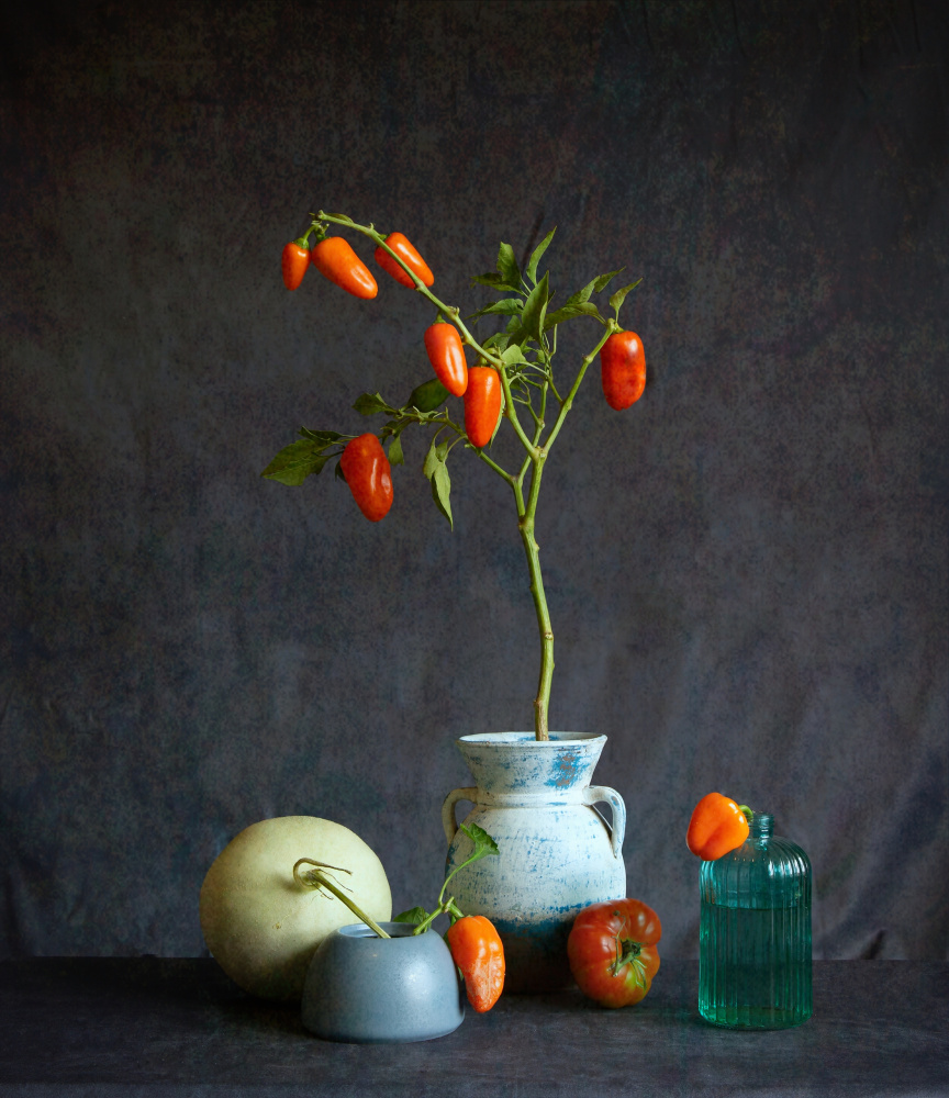 Orange Tomatoes Rustic Still Life by Fangping Zhou — canvas wall art