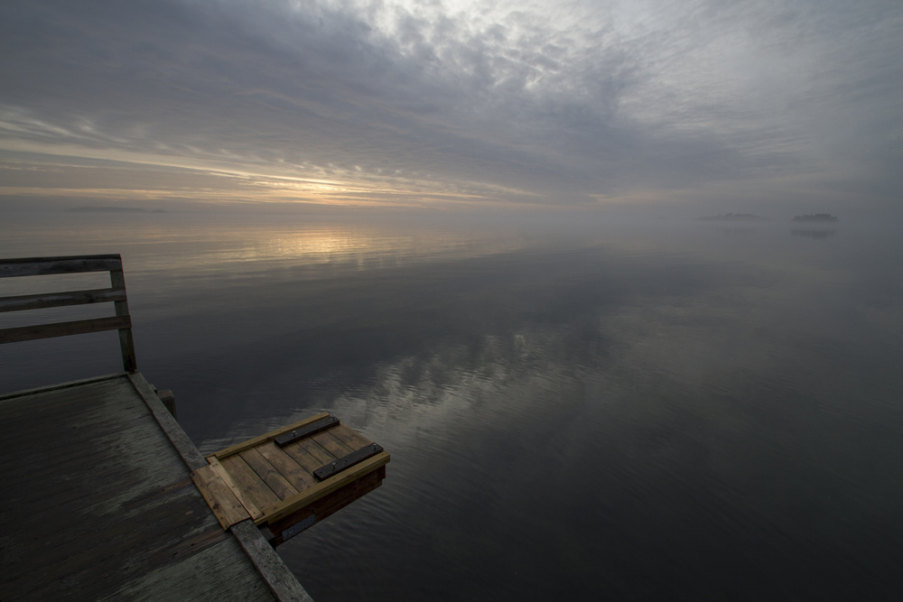 Misty Morning Dock by Carola Onkamo — canvas wall art