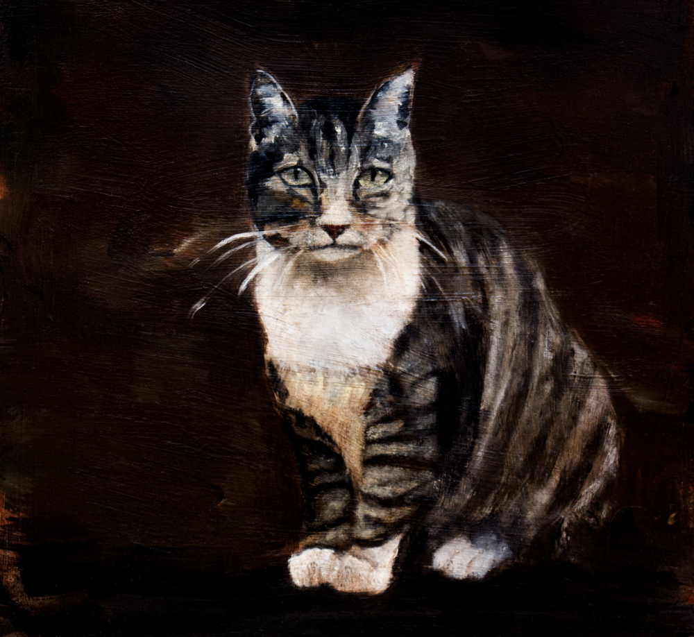 Elegant Tabby Cat by Claire Lerner — canvas wall art