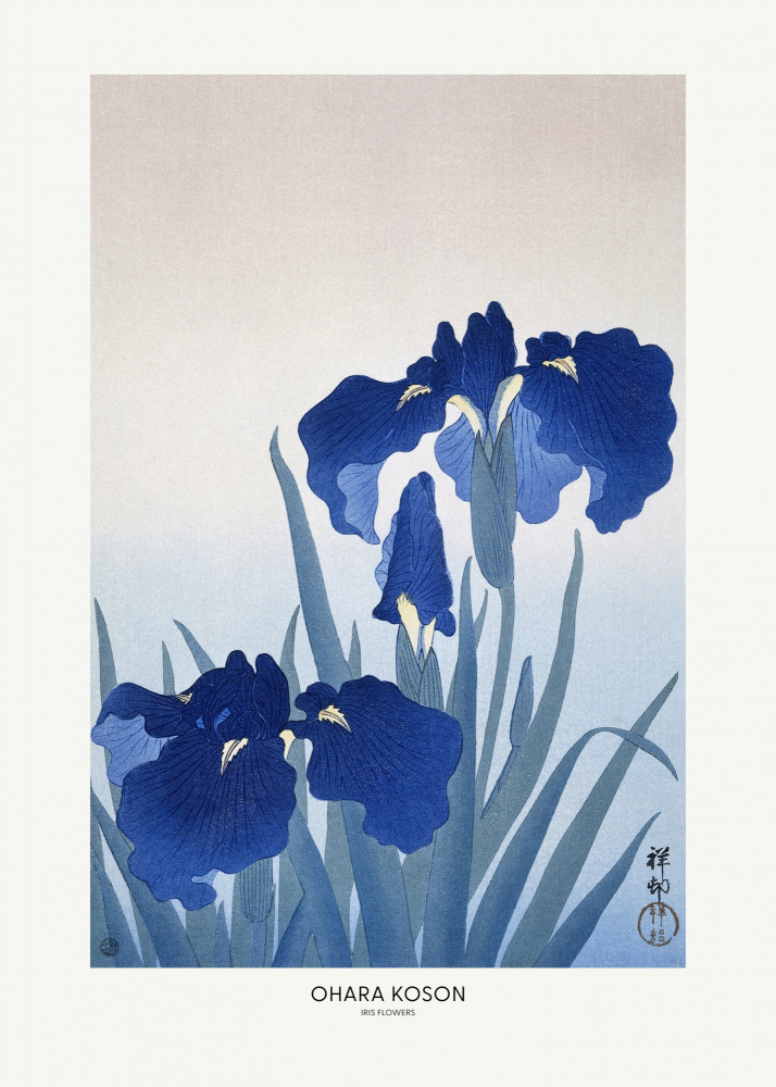 Iris Flowers Poster By Ohara Koson by Ohara Koson — canvas wall art