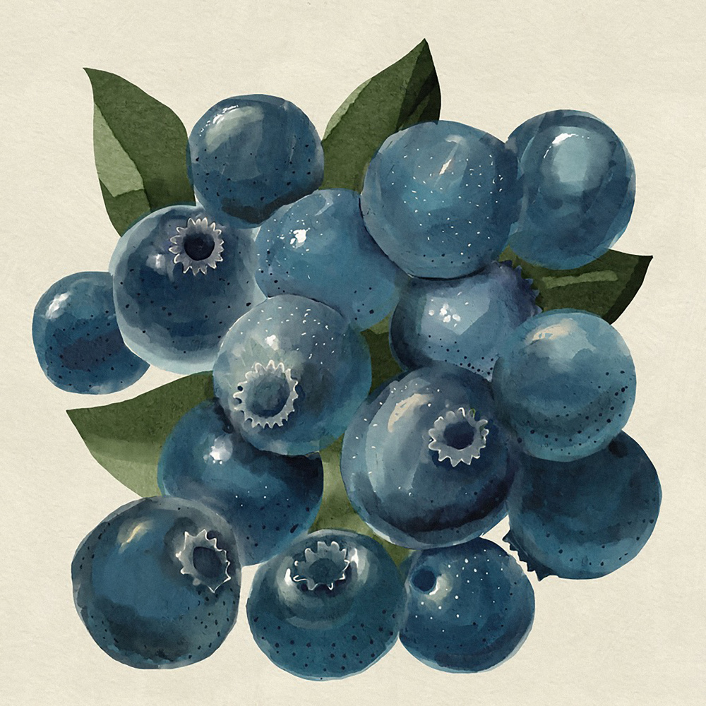 Blueberries by Katie O'Shea — canvas wall art