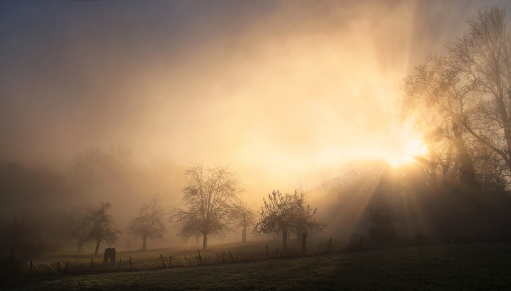 Misty Morning Sun by Lou Urlings — canvas wall art