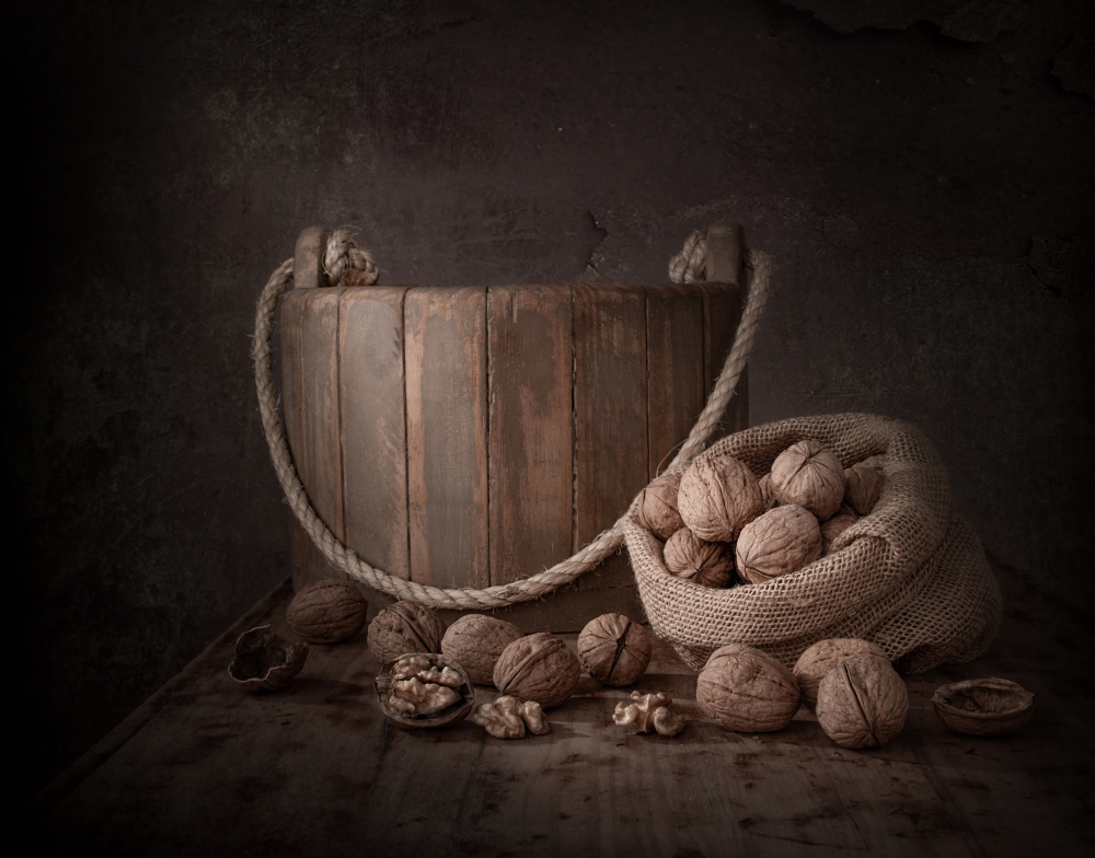 Rustic Walnuts Still Life by Margareth Perfoncio — canvas wall art