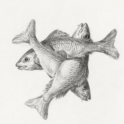 Three Fishes (1775–1833)