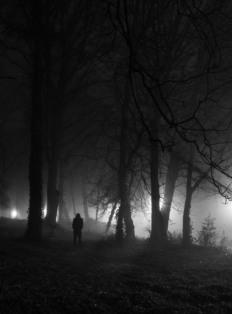 Figure in Foggy Forest by Yavuz Pancareken — canvas wall art