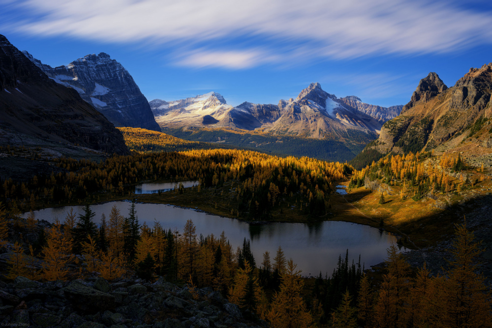 Golden Larch Mountain Lake by Johnny Zhang — canvas wall art