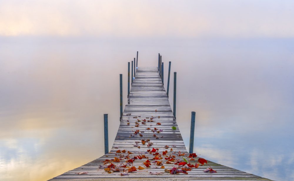 Misty Morning Dock by Feng Qin — canvas wall art