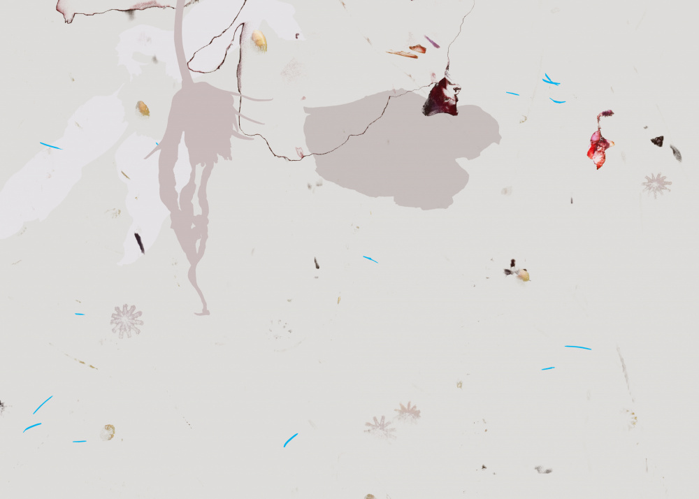 Delicate Natural Fragments by Miriam Stayte — canvas wall art