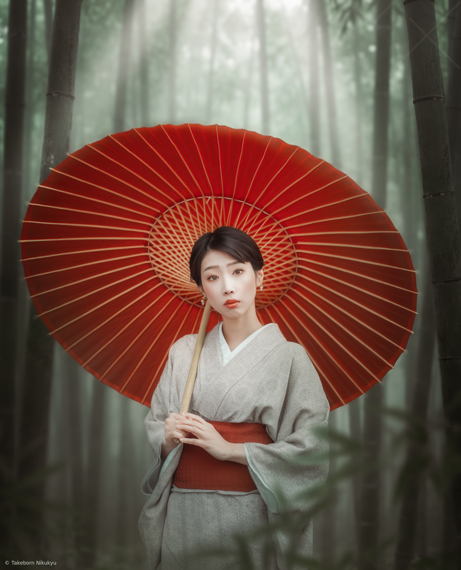 The Forest Holds Its Breath