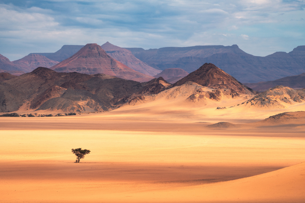 Solitary Desert Tree by Jean Claude Castor — canvas wall art