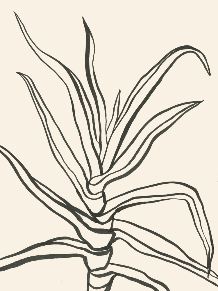 Minimalist Plant Outline by Catalina Somolinos — canvas wall art