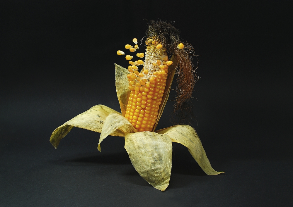 Falling Corn Kernels by Leon — canvas wall art