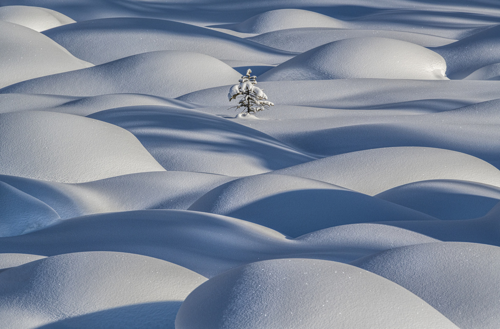 Peaceful Winter Snowscape by James S. Chia — canvas wall art
