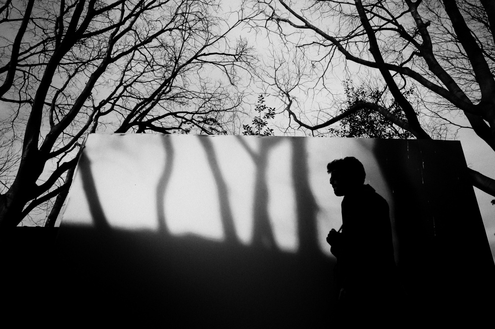 Stark Silhouette Tree Shadows by Alphan YILMAZMADEN — canvas wall art