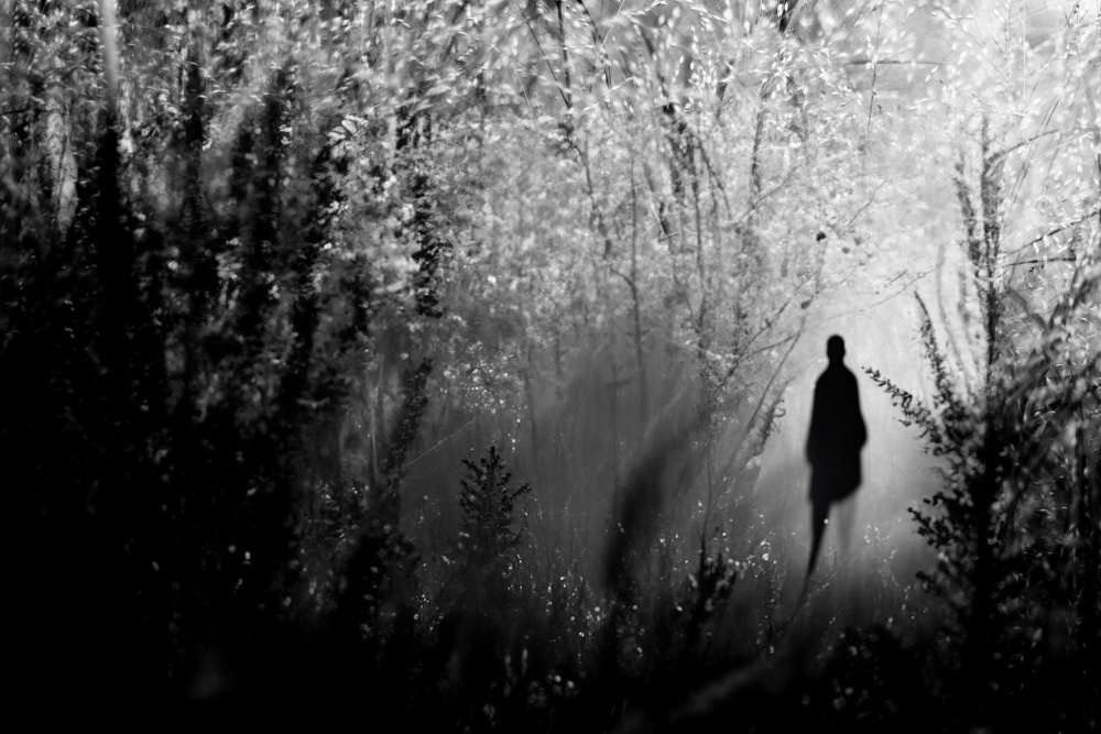 Mysterious Forest Figure by YoungIl Kim — canvas wall art