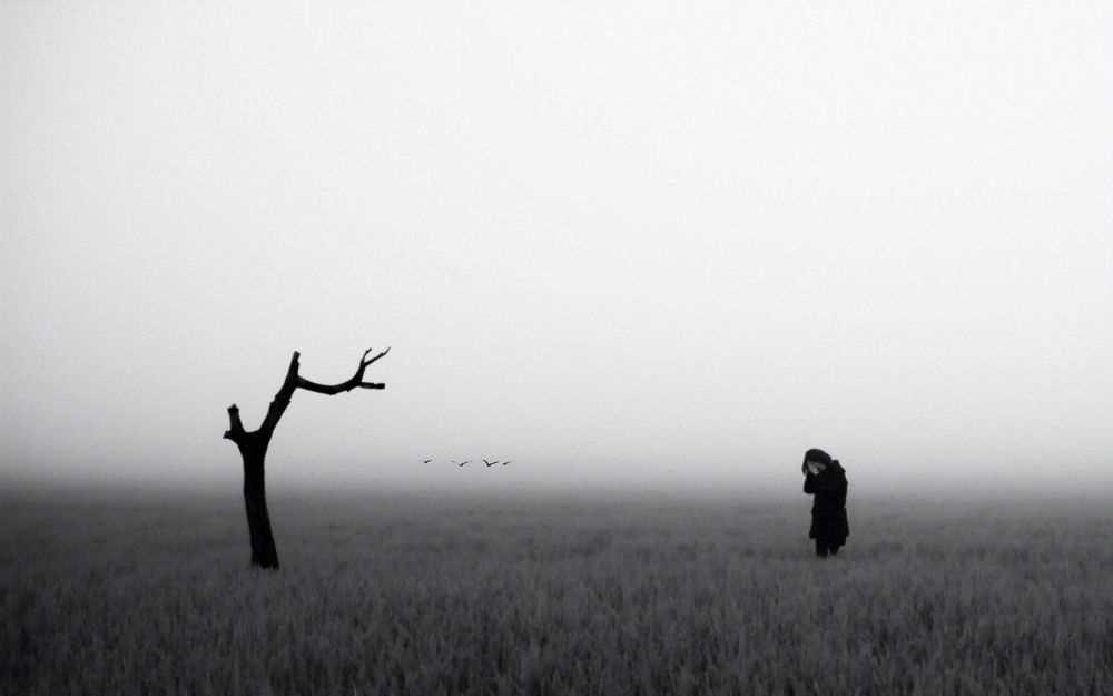 Misty Field Solitude by Parole Kim — canvas wall art