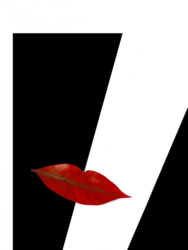 Red Leaf Lips by Karin Kilb — canvas wall art