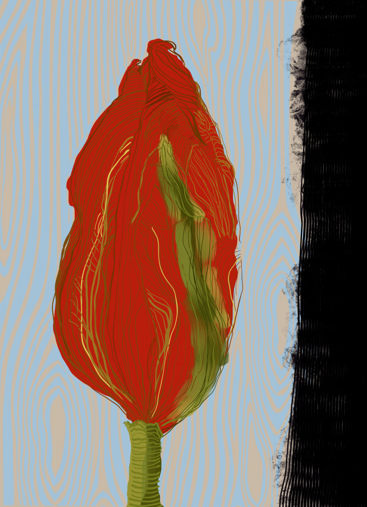 Vibrant Red Bud by XHOZUCAN — canvas wall art