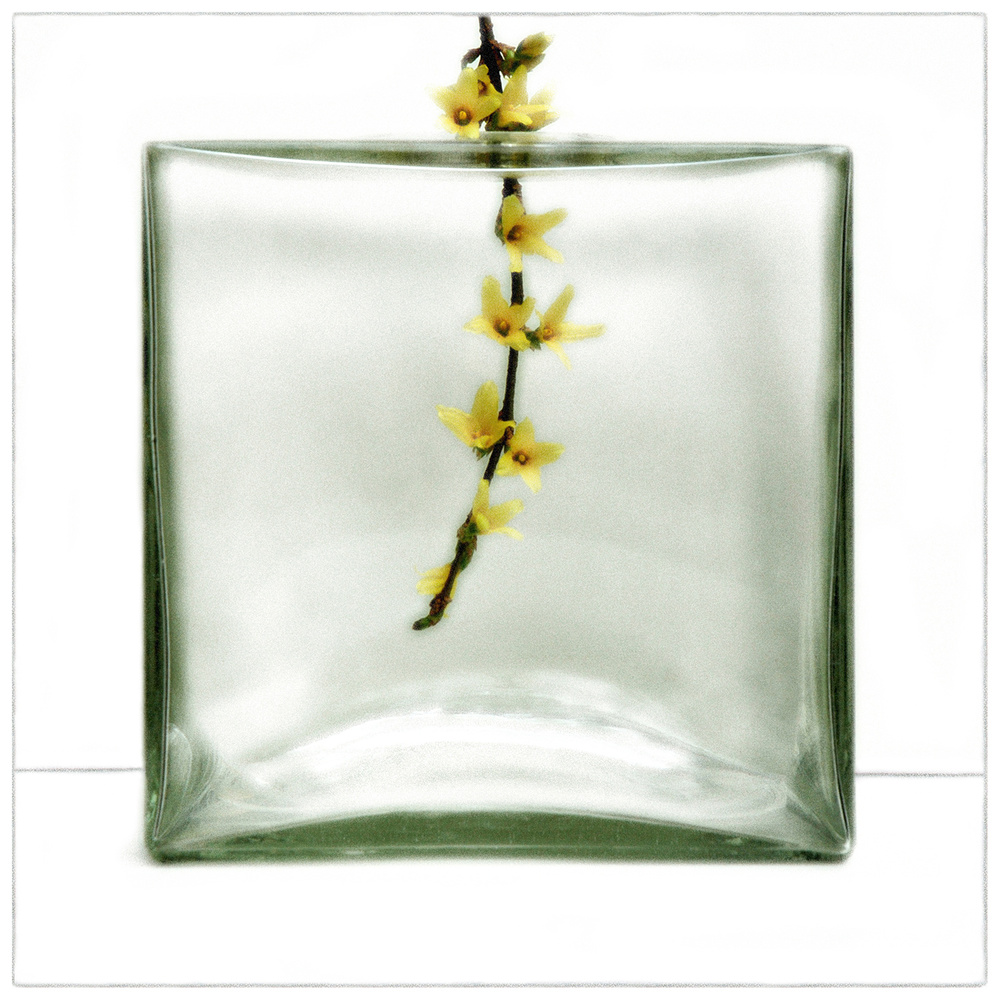 Floating Yellow Flowers by Huib Limberg — canvas wall art