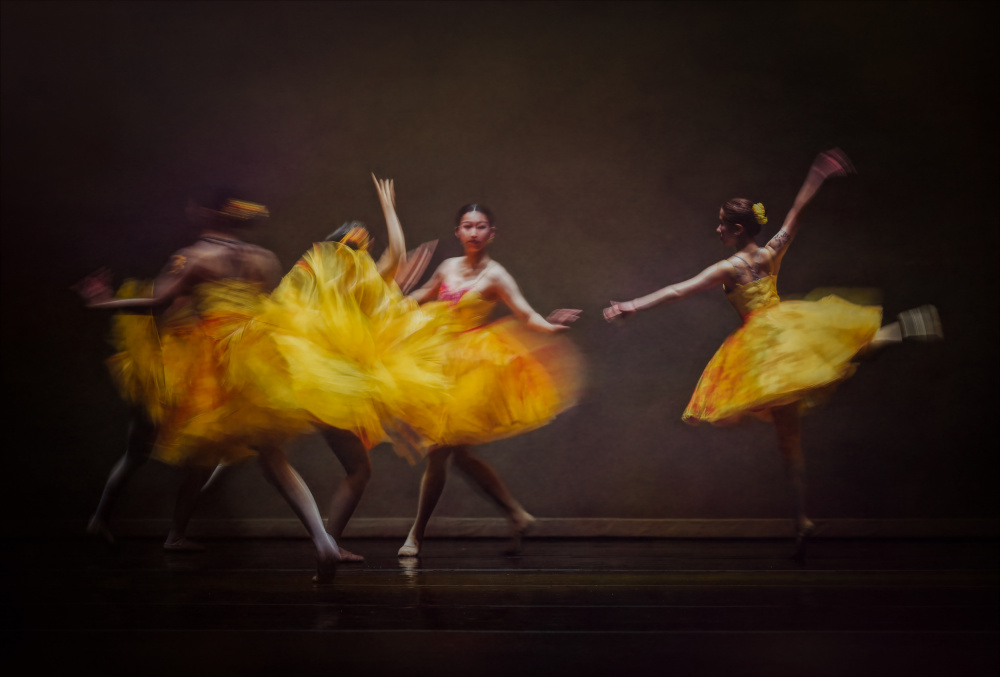 Graceful Yellow Dancers by Mia Meng — canvas wall art