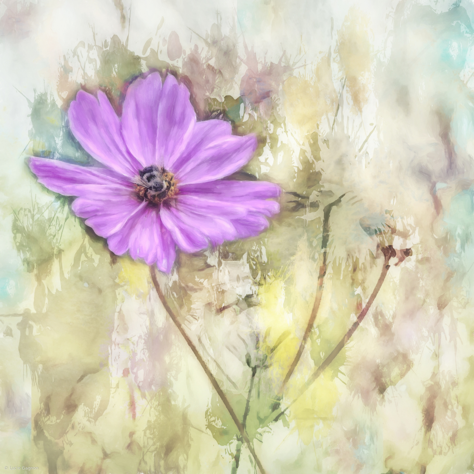 A Brushstroke of Summer
