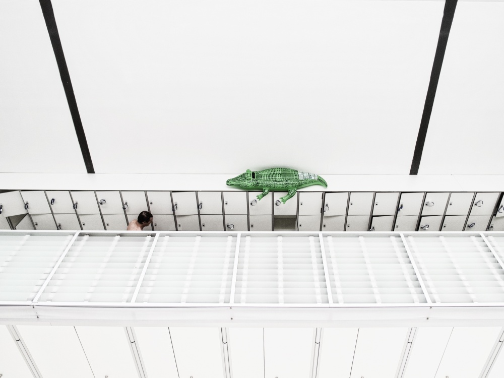 White Lockers Green Crocodile by Jonathan Lai — canvas wall art