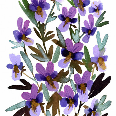 Watercolor Purple Blooms