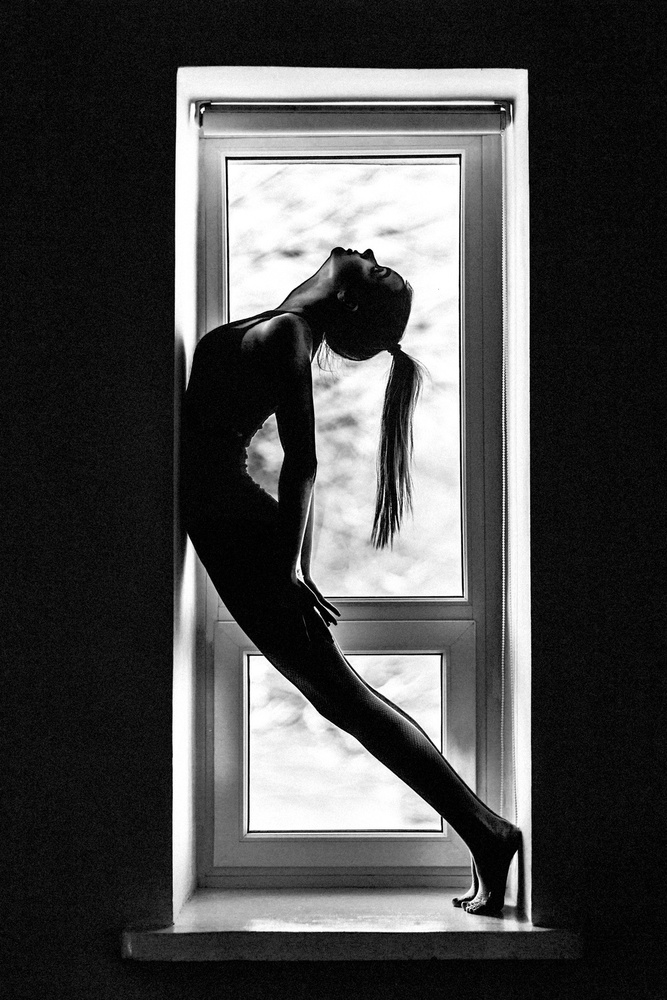Elegant Window Silhouette by Ruslan Bolgov — canvas wall art