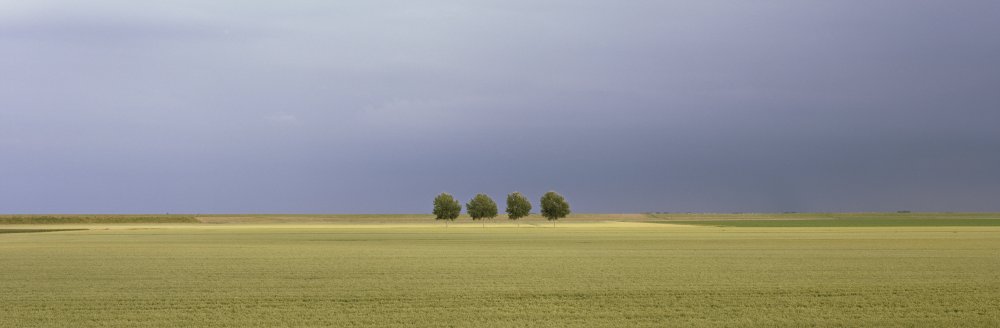 Vast Field Dramatic Sky by Max Witjes — canvas wall art