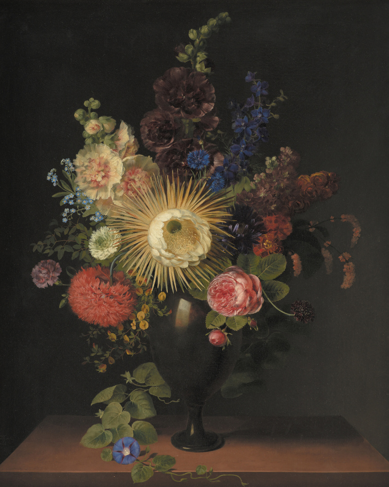 A Porphyry Vase With Cactus Grandiflora and Other Flowers By C. D. Fritzsch by C. D. Fritzsch — canvas wall art