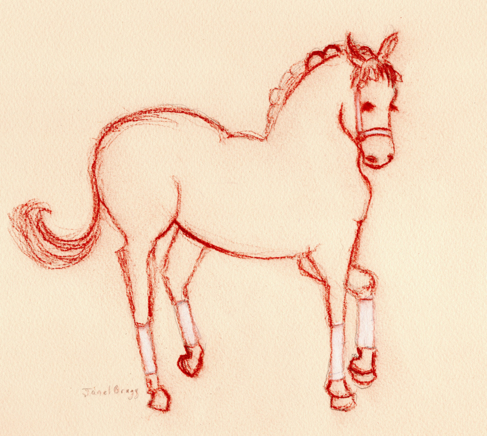 Charming Red Horse Drawing by Janel Bragg — canvas wall art