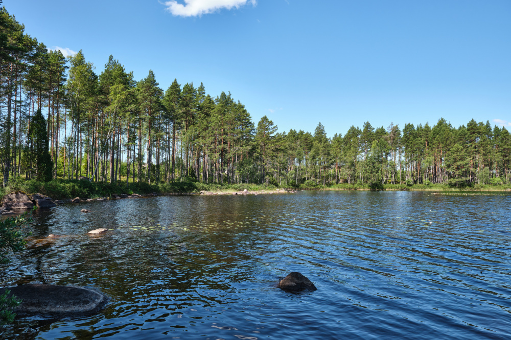 Peaceful Forest Lake by Geertjan Plooijer — canvas wall art