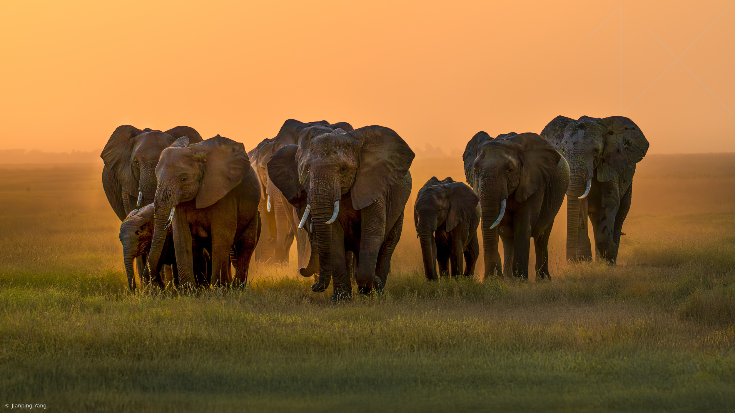 Morning Procession