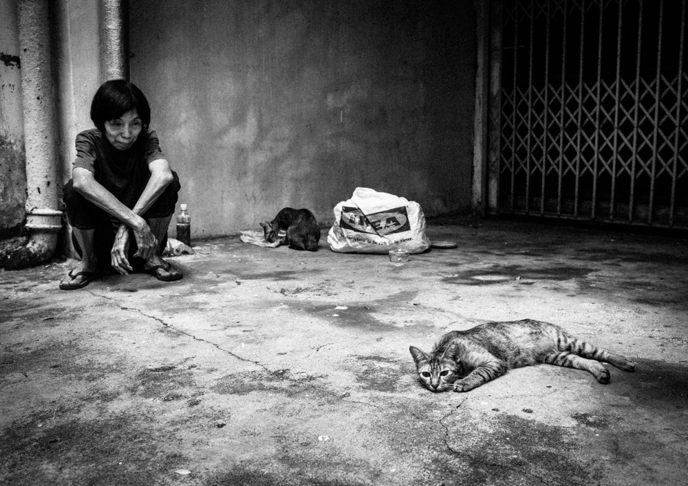 Woman and Alley Cats by TORU MATSUNAGA — canvas wall art