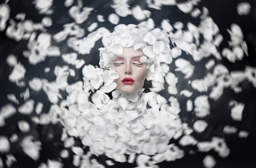 White Petal Dream by See Plus — canvas wall art