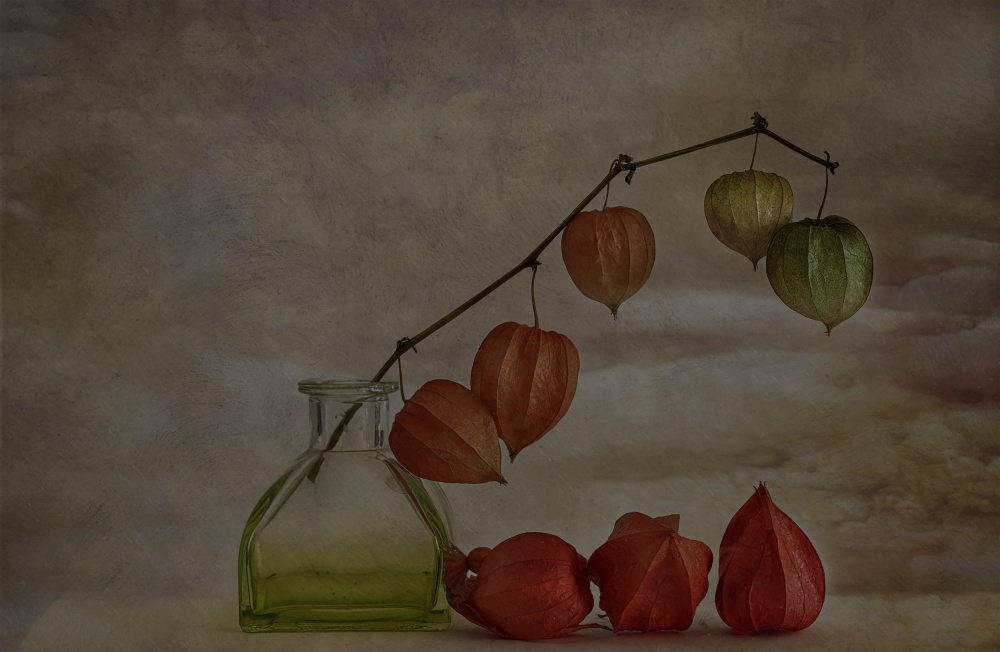 Quiet Autumn Lanterns by Marie-anne Stas — canvas wall art