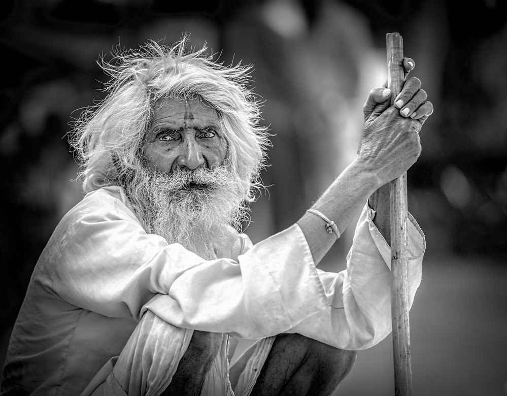 Wise Old Man by Jiti Chadha — canvas wall art