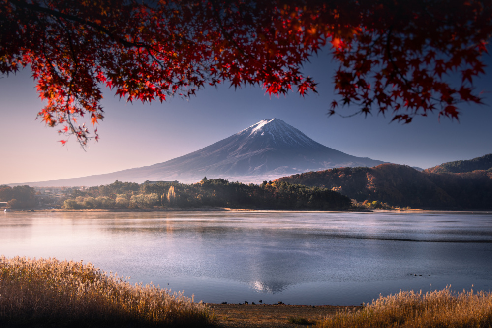 Mount Fuji Autumn Serenity by Karol Nienartowicz — canvas wall art