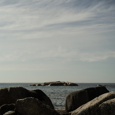 Nature Inspired Artwork