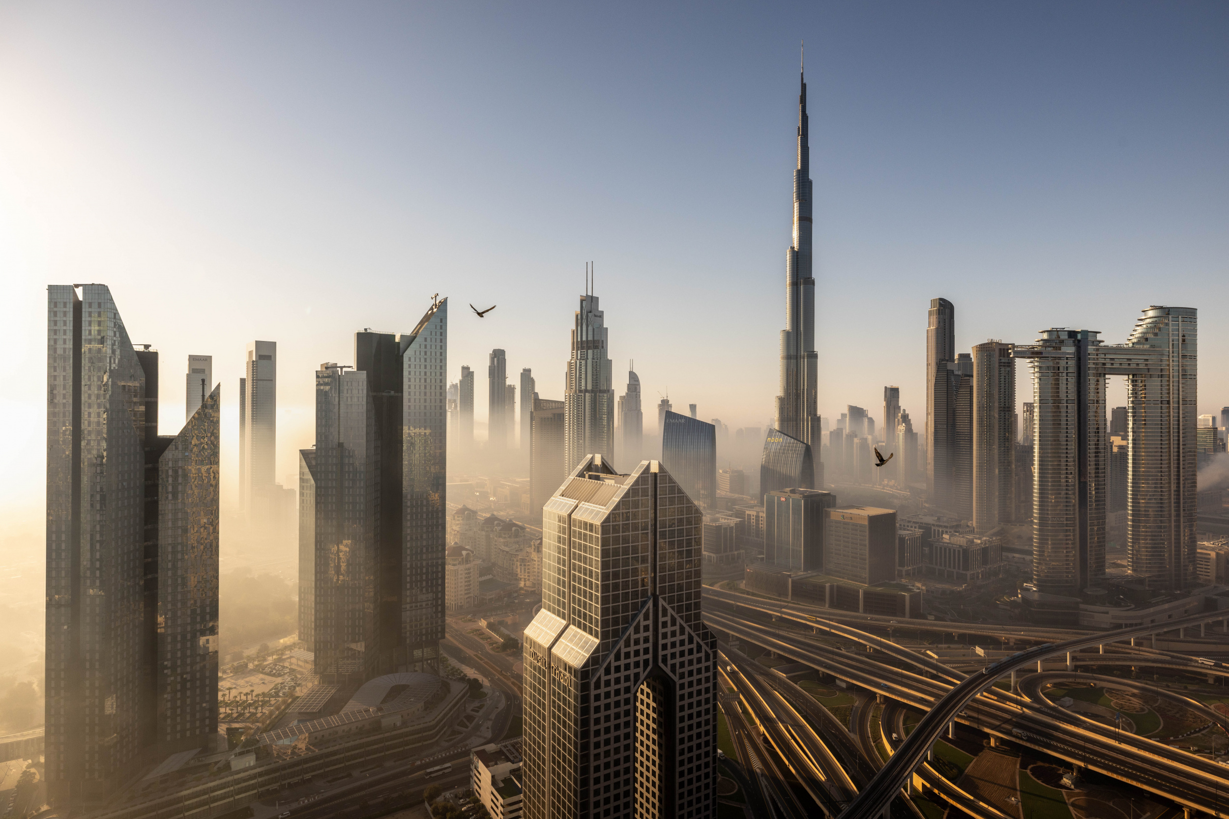 Golden veil over the future