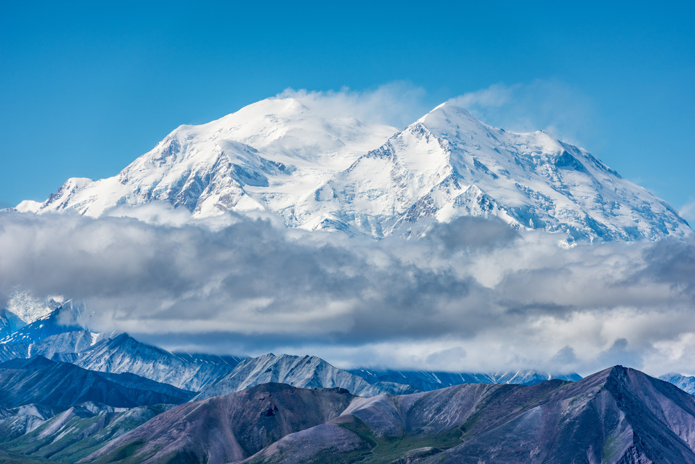 Majestic Denali Peak by Jeffrey C. Sink — canvas wall art