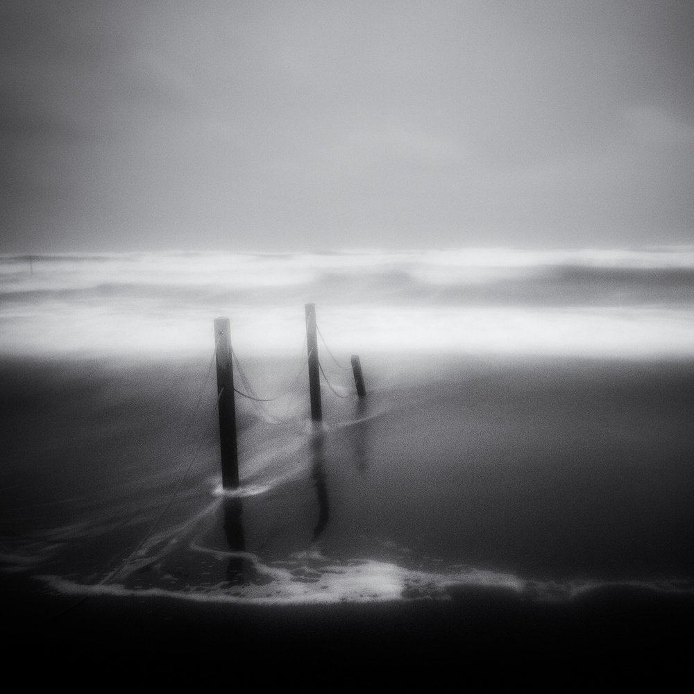 Misty Ocean Posts by Massimo Della Latta — canvas wall art