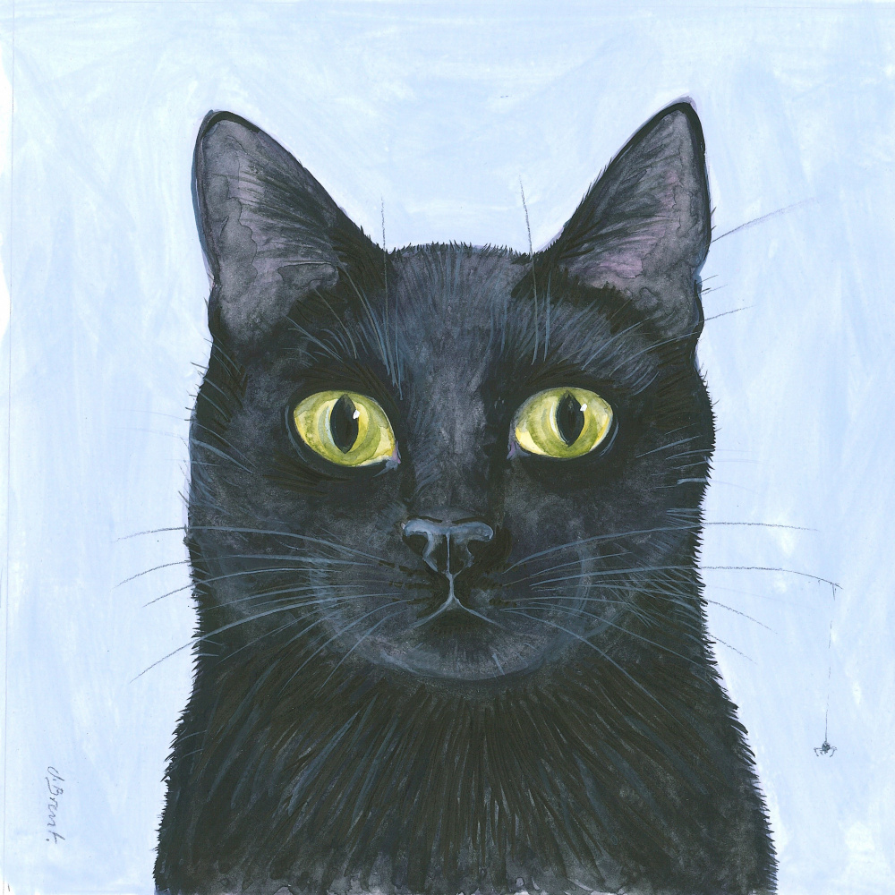   The Cat's Whisker by Isabelle Brent — canvas wall art