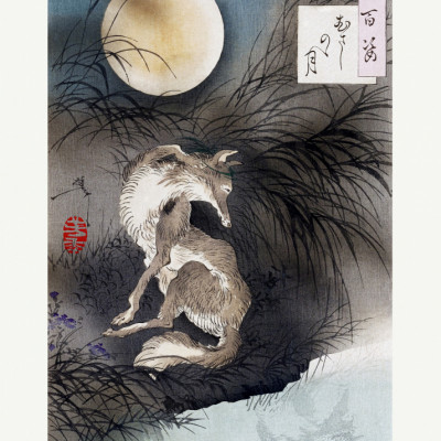 Japanese Wolf and the Moon (1892)