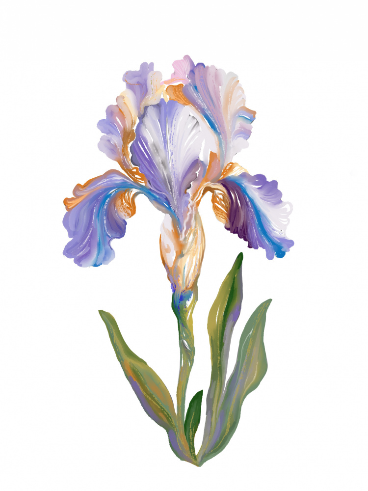 Vibrant Painterly Iris by Josie George — canvas wall art