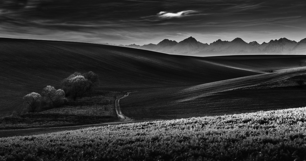 Distant Peaks Rolling Hills by Peter Majkut — canvas wall art