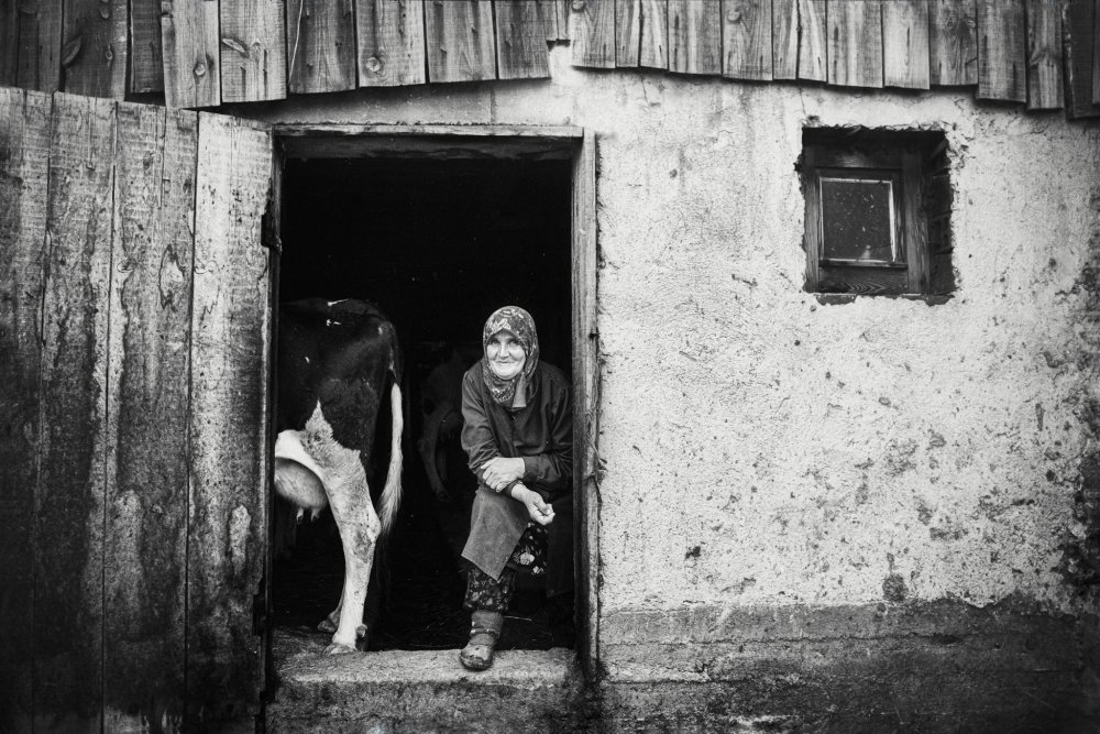 Smiling Woman and Cow by Todor Tanev — canvas wall art