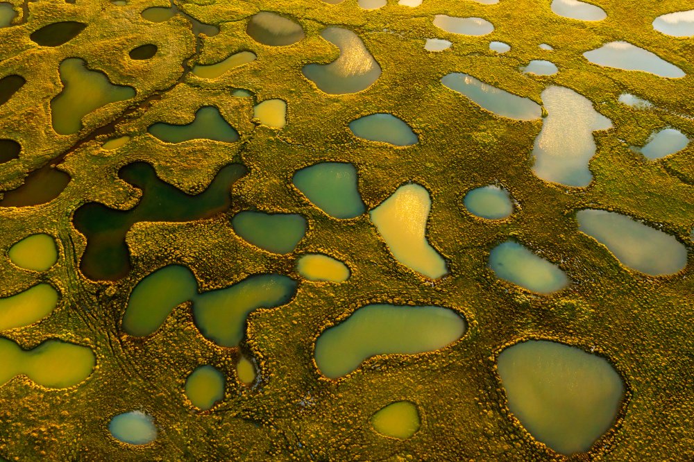Aerial Wetland Ponds by James Bian — canvas wall art