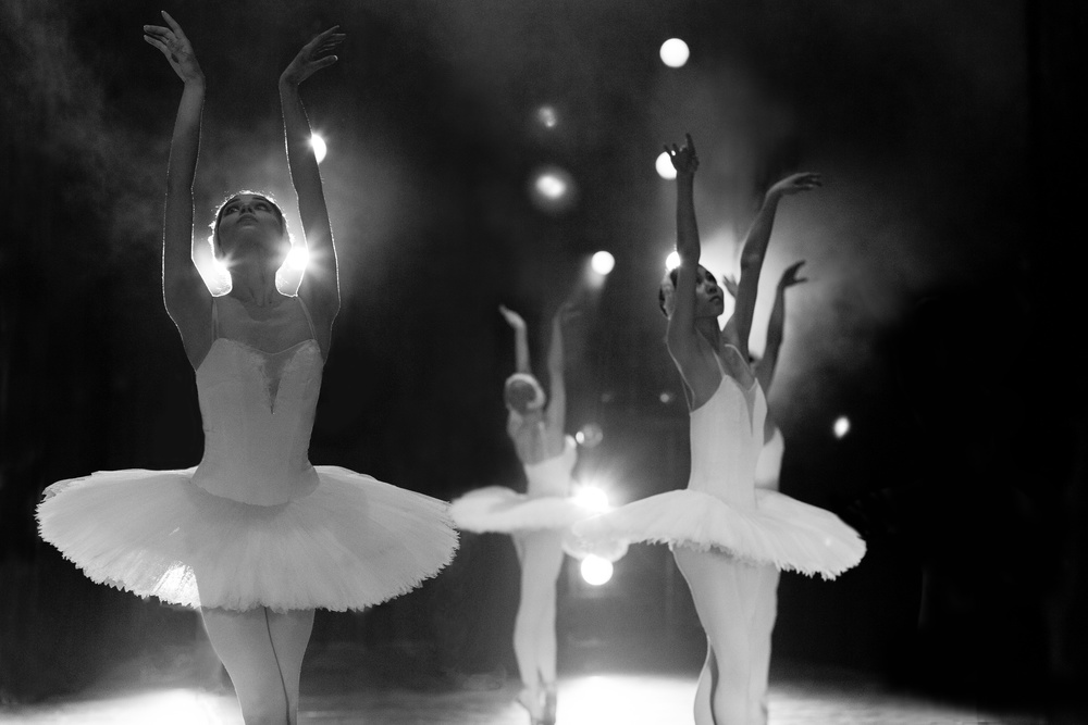 Swan Lake by Alexandr Pobat — canvas wall art