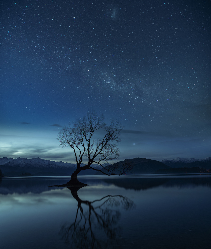 Lone Tree Starry Night by Yu Cheng — canvas wall art
